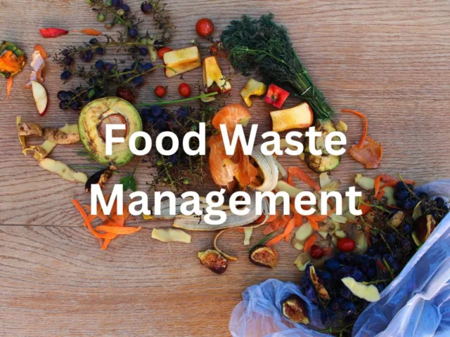 Food Waste Management: Unveiling The Journey Of Discarded Edibles