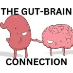 The Gut-Brain Connection