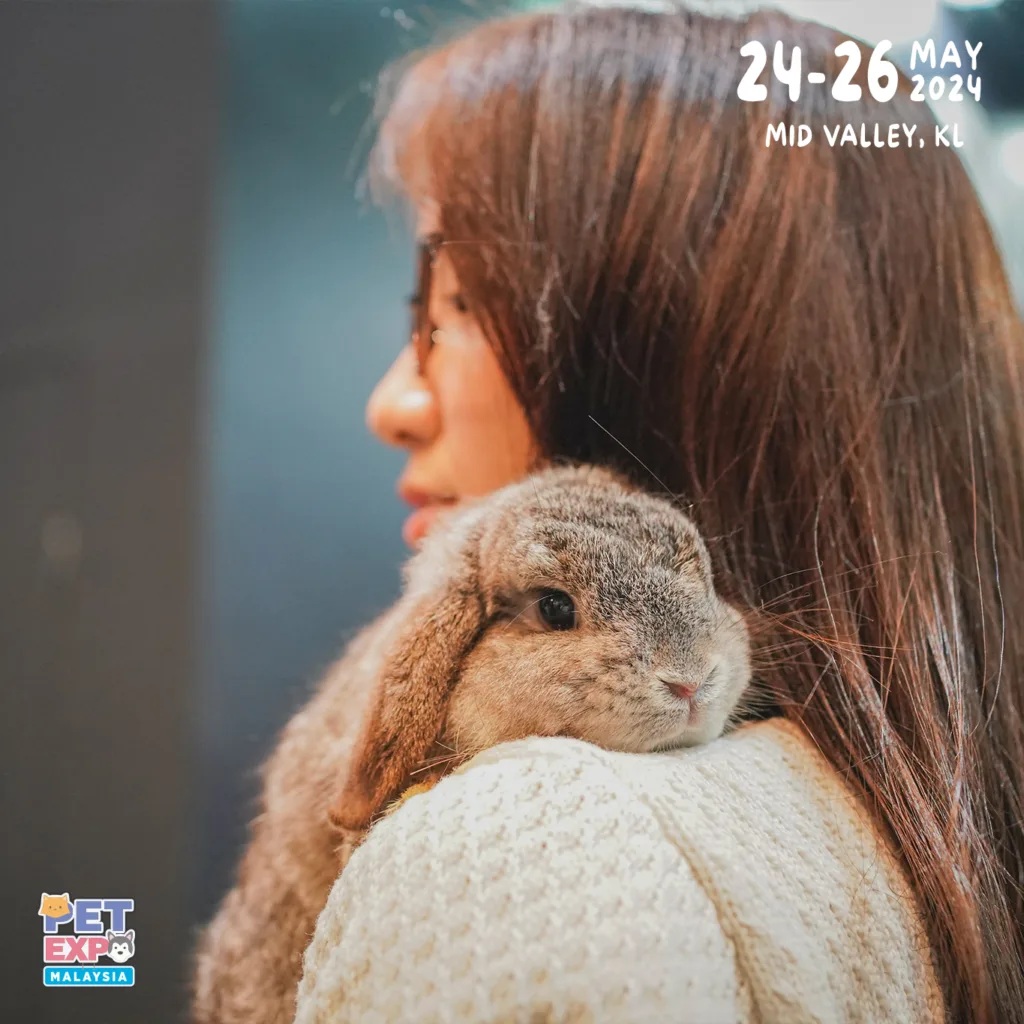 Rabbit at Pet Expo Malaysia 2024