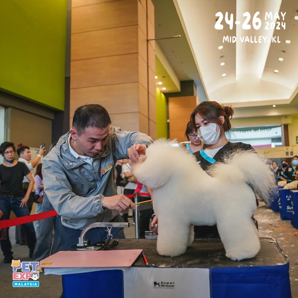 International dog grooming competition