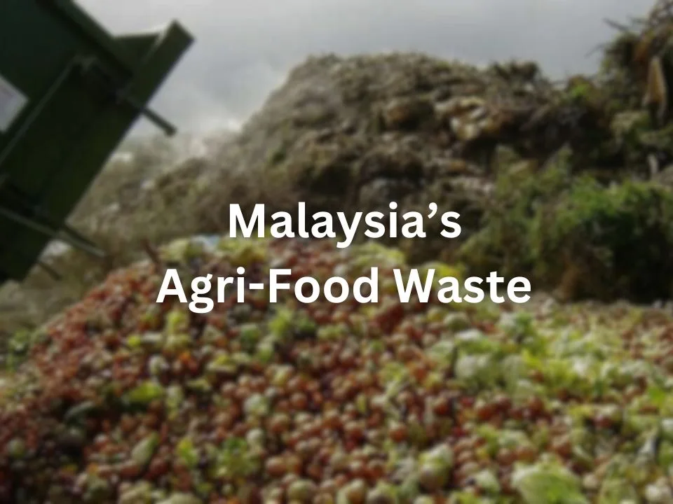 Tackling Agri-Food Waste In Malaysia: A Path To Sustainable Innovation