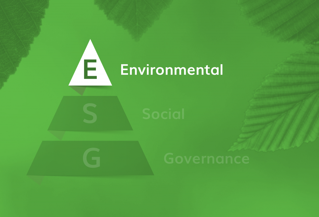 The Environmental Component