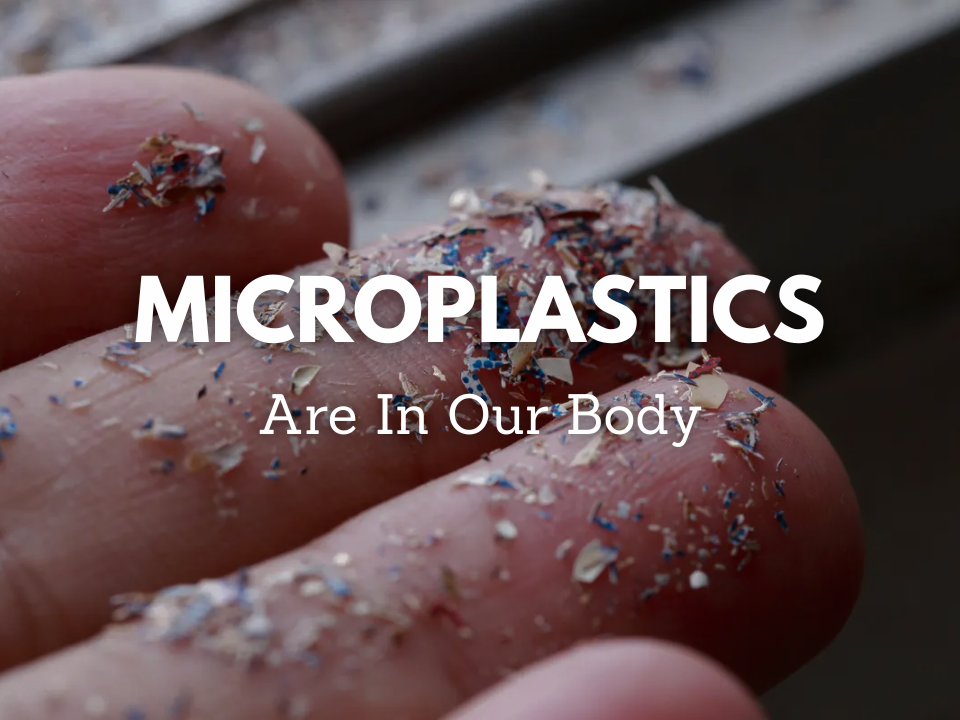 microplastic consumption