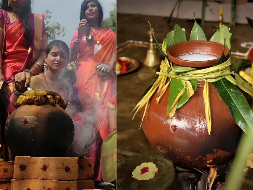 ponggal is a sweet rice dish used during the harvest festival, one of malaysian cultural traditions