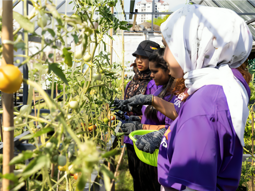 fedex vegetable urban garden intiative to provide healthy food to low-income communities