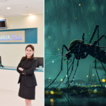 dengue during rainy season