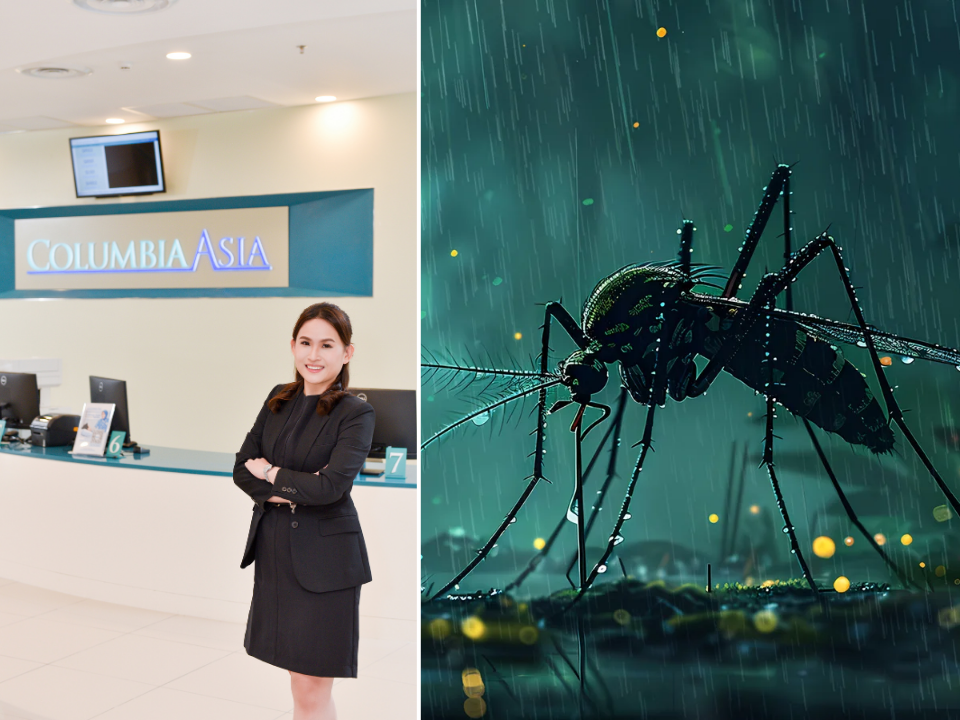 dengue during rainy season