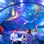 LEGOLAND underwater dining Malaysia