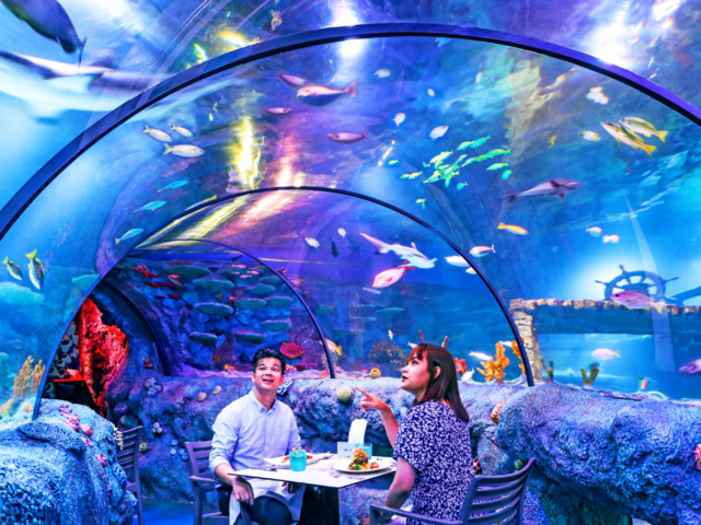 LEGOLAND underwater dining Malaysia