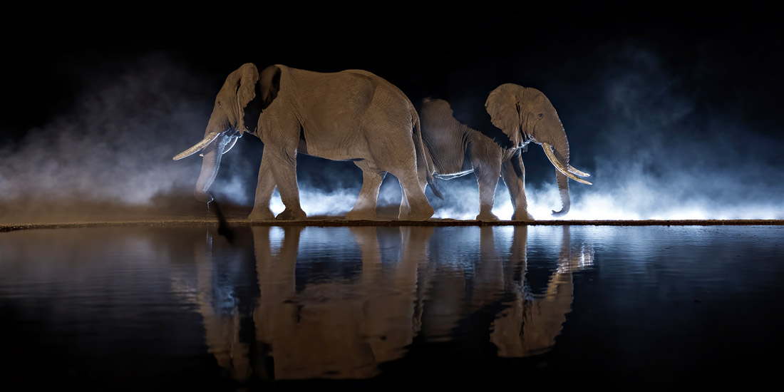 Two elephants at a waterhole at night in Kenya by Ranjan Ramchandani